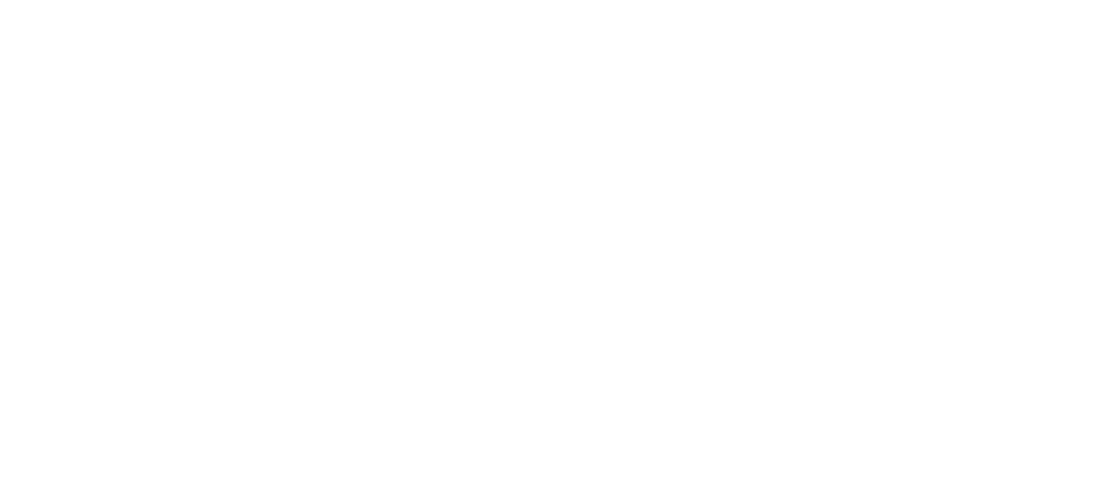 Effemme Motors